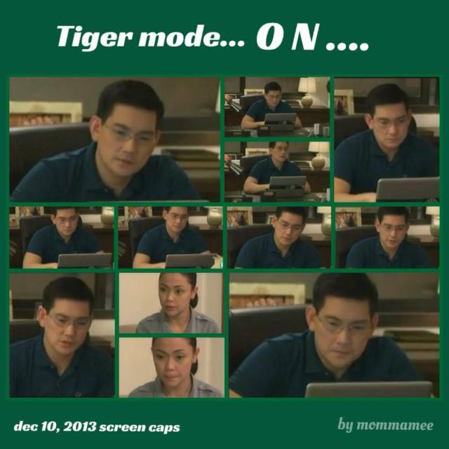 12-10Tiger On